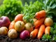 biodiversitaet-roesti-ein-schmackhaftes-zeichen-fuer-den-artenschutz
