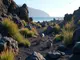 die-versteckten-wildtiere-lanzarote-entdeckungsreise-in-einer-vulkanischen-landschaft