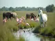 die-vielfalt-der-wildtiere-in-der-camargue-ein-naturparadies