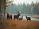 die-wildtiere-estlands-einblick-in-die-einzigartige-tierwelt