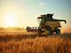 artenschutz-in-der-landwirtschaft-ein-balanceakt-zwischen-ertrag-und-natur