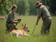 wildtiere-betaeuben-fuer-den-naturschutz-chancen-und-herausforderungen